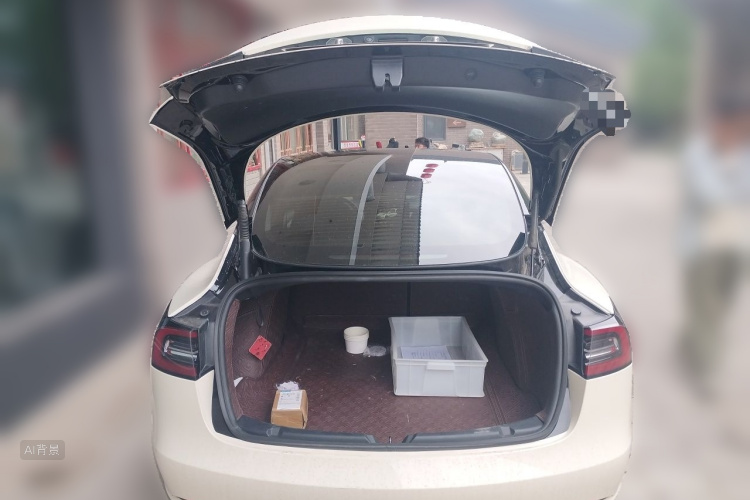 Tesla Model 3 2022 car image #21