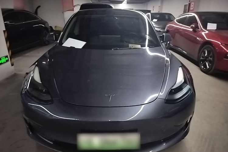 Tesla Model 3 2021 #3 Tesla Model 3 2021 car image #3