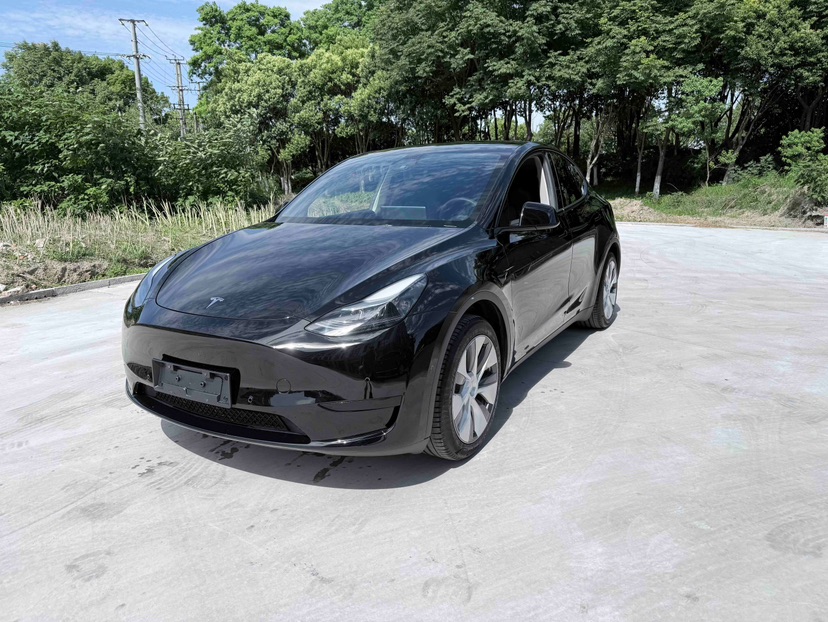 Tesla Model Y 2023 Tesla Model Y 2023 car image