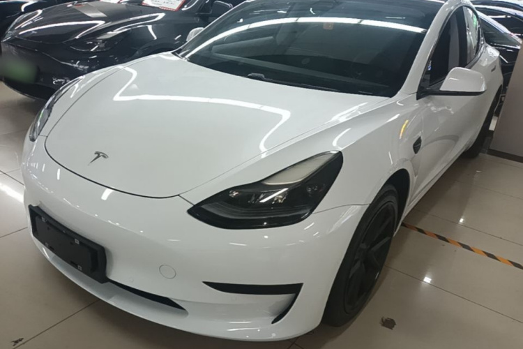 Tesla Model 3 2021 #2 Tesla Model 3 2021 car image #2