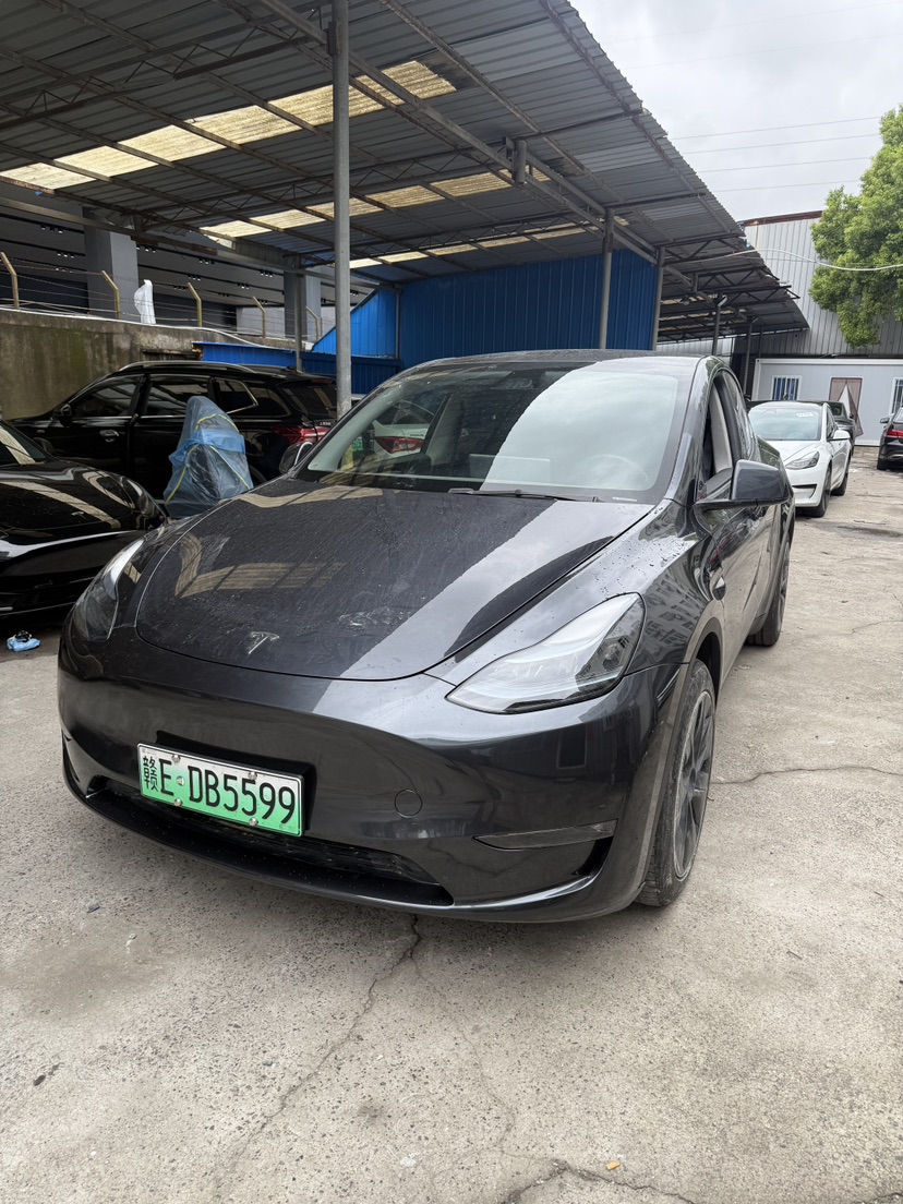 Tesla Model Y 2025 car image 