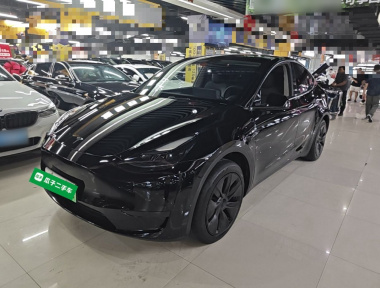 Tesla Model Y 2023 immagine di auto 