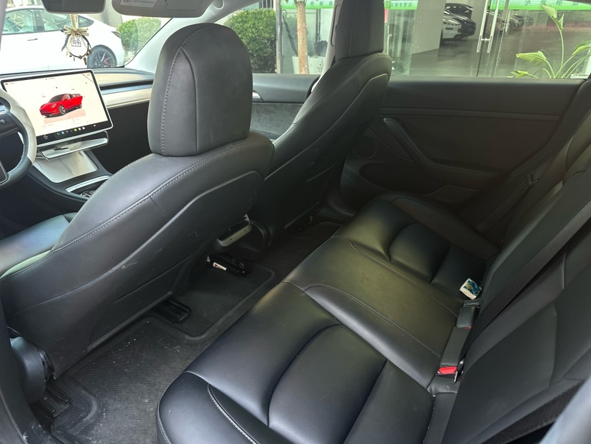 Tesla Model 3 2022 car image #5
