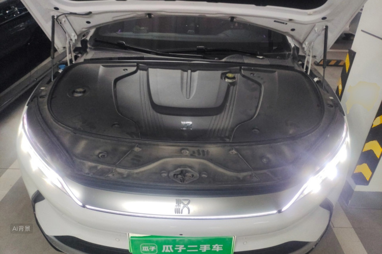 BYD Han 2021 imagen de coche #22