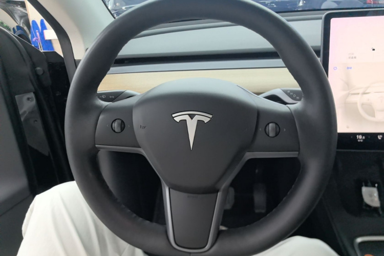 Tesla Model Y 2021 #11 Tesla Model Y 2021 car image #11