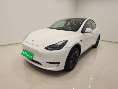 Tesla Model Y 2024 car image 