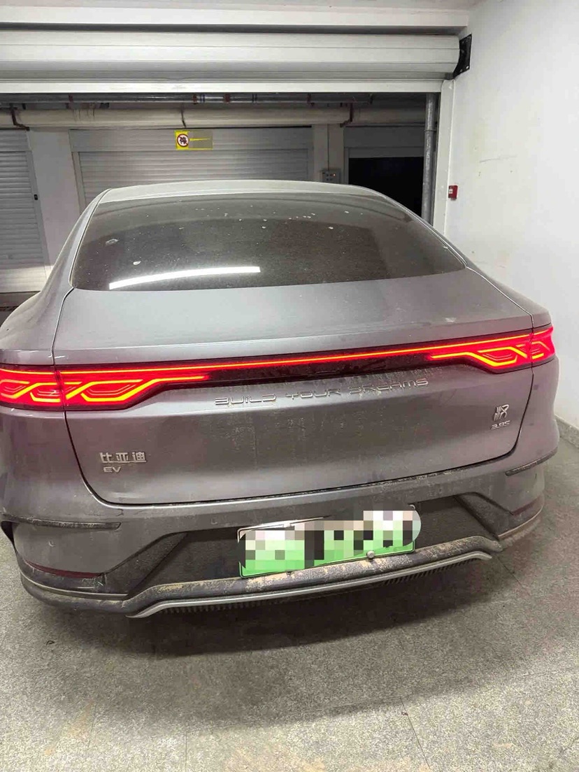 BYD Han 2022 immagine di auto #2
