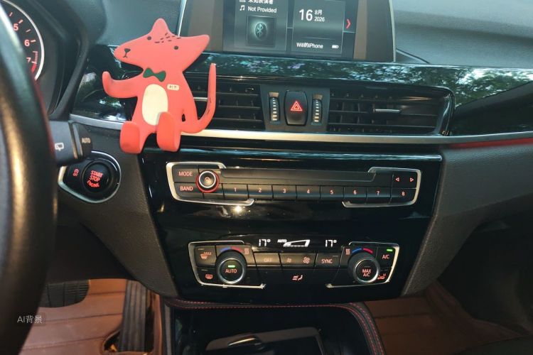 BMW X1 2018 #15 BMW X1 2018 car image #15
