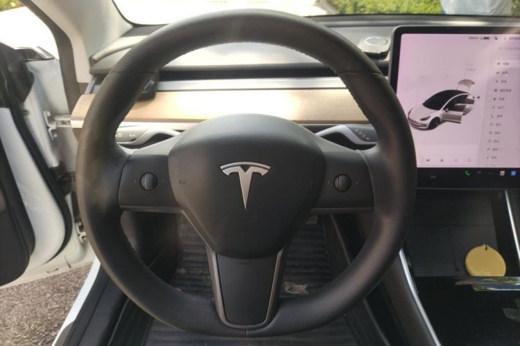Tesla Model 3 2020 car image #10