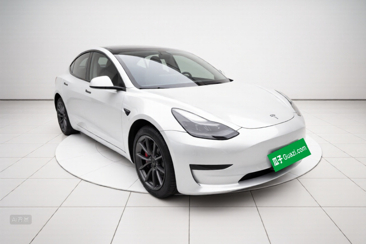 Tesla Model 3 2023 car image #4