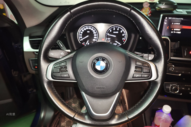 BMW X1 2020 car image #12