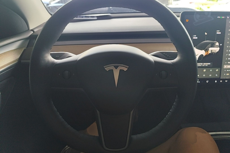 Tesla Model Y 2021 car image #15
