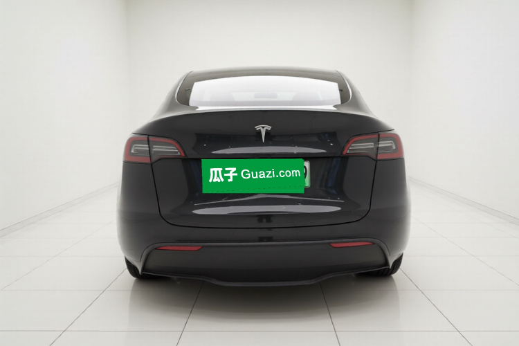 Tesla Model Y 2023 car image #6