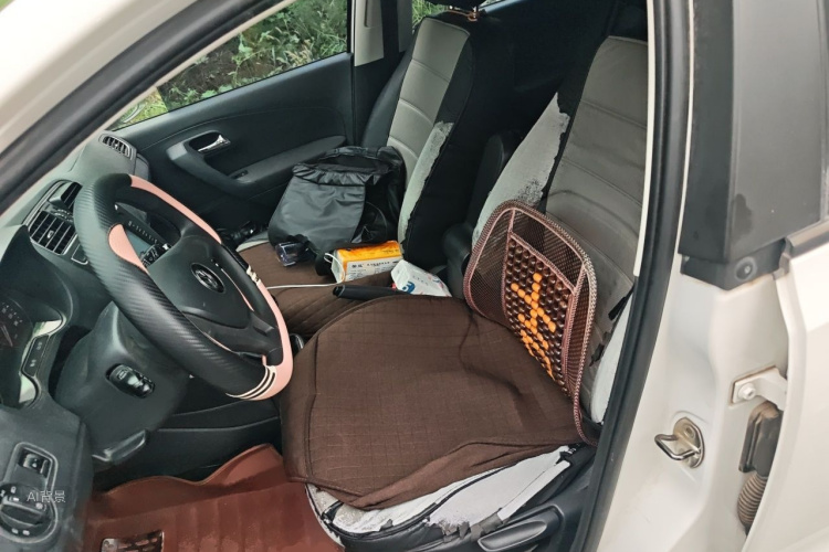 Volkswagen Polo 2016 car image #17