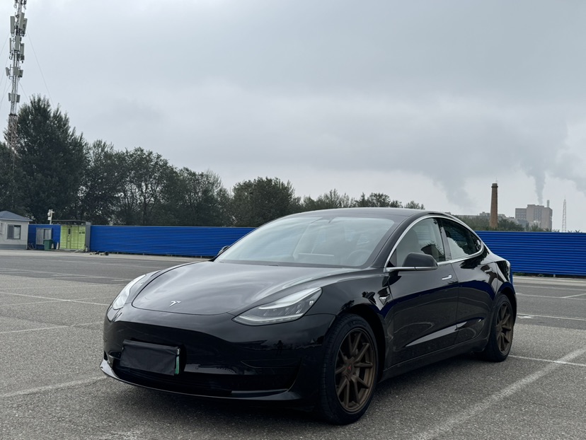 Tesla Model 3 2020 Tesla Model 3 2020 car image