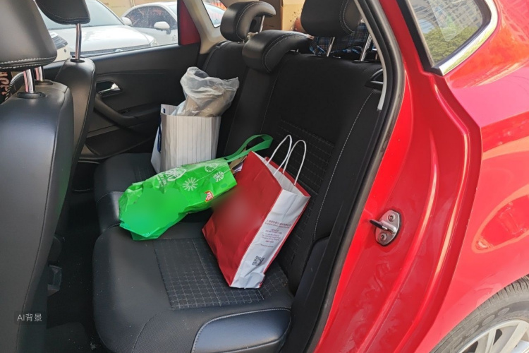 Volkswagen Polo 2015 car image #19