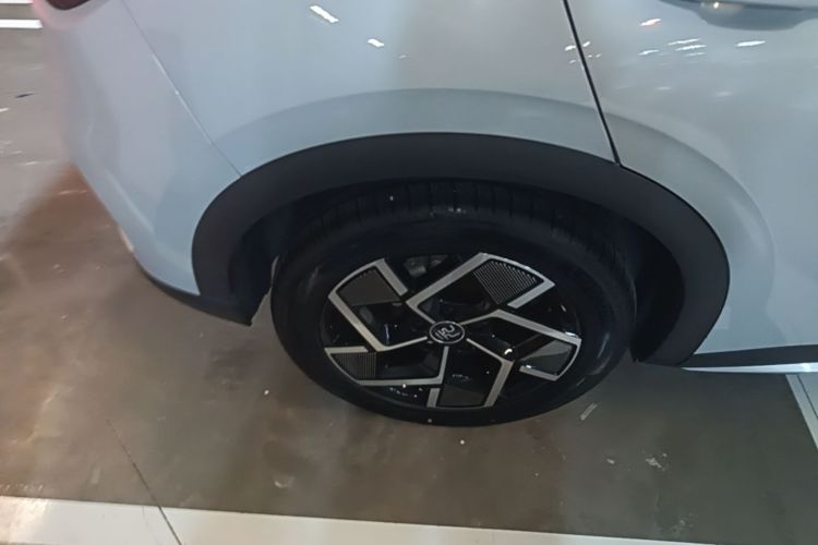 BYD Yuan Plus 2023 #4 BYD Yuan Plus 2023 immagine di auto #4