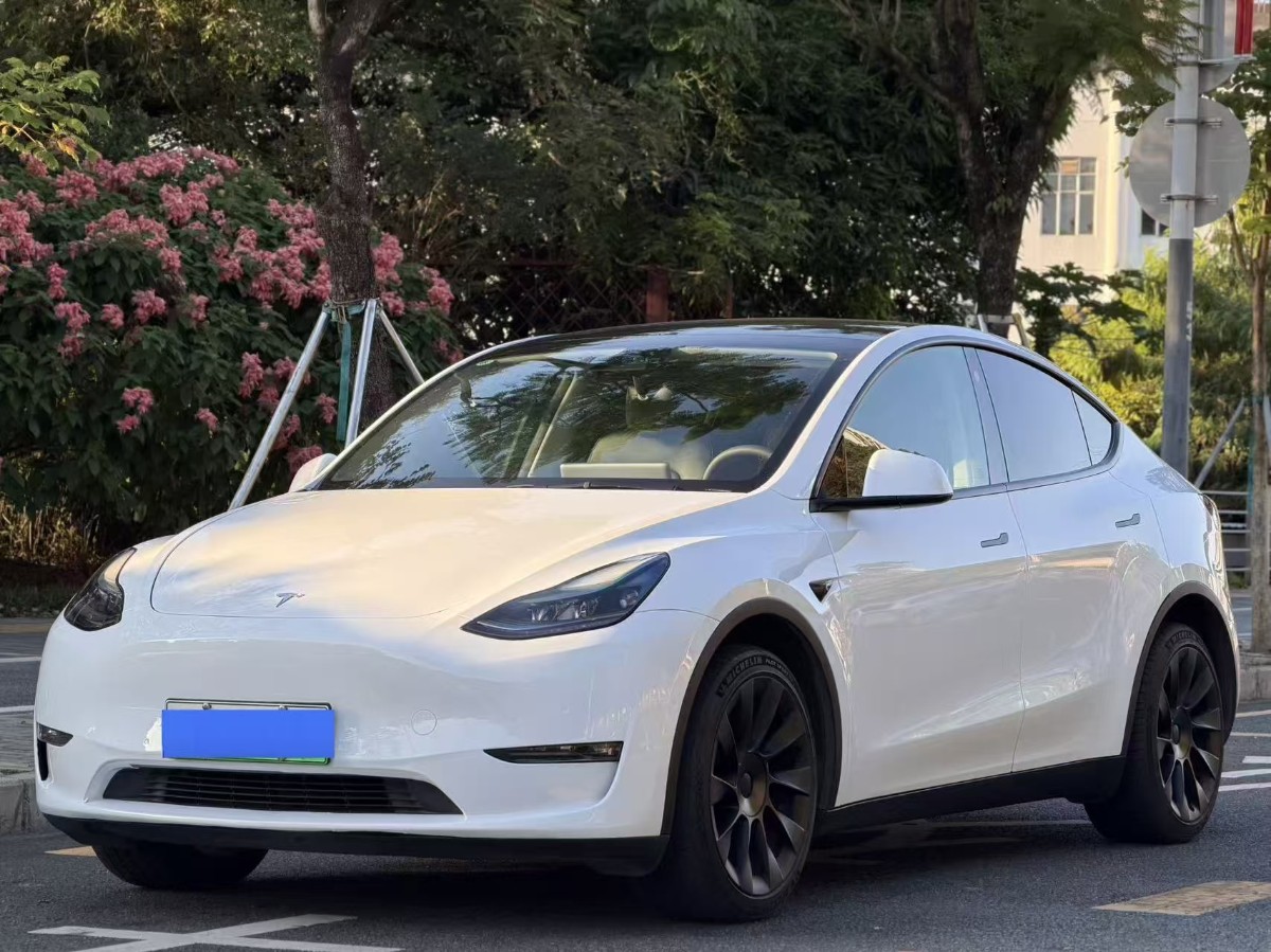 Tesla Model Y 2023 #2 Tesla Model Y 2023 imagem de carro #2