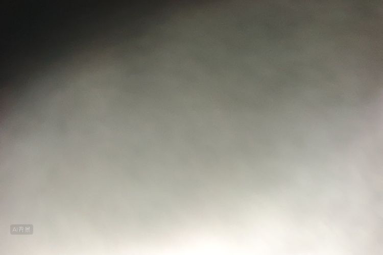 Tesla Model Y 2021 car image #10