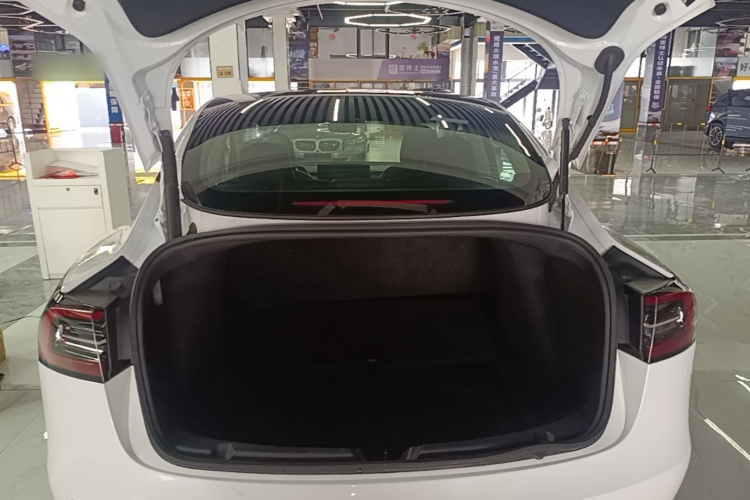 Tesla Model 3 2021 #19 Tesla Model 3 2021 car image #19