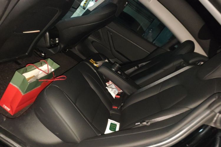 Tesla Model 3 2020 car image #14