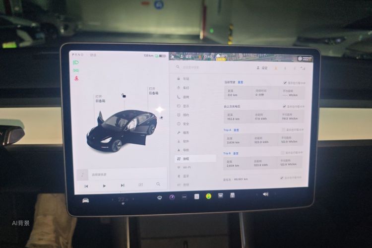 Tesla Model 3 2020 car image #13