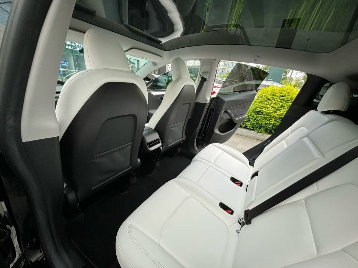 Tesla Model Y 2023 car image #6