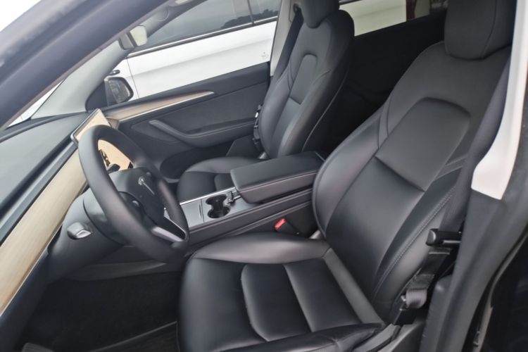 Tesla Model Y 2021 car image #15