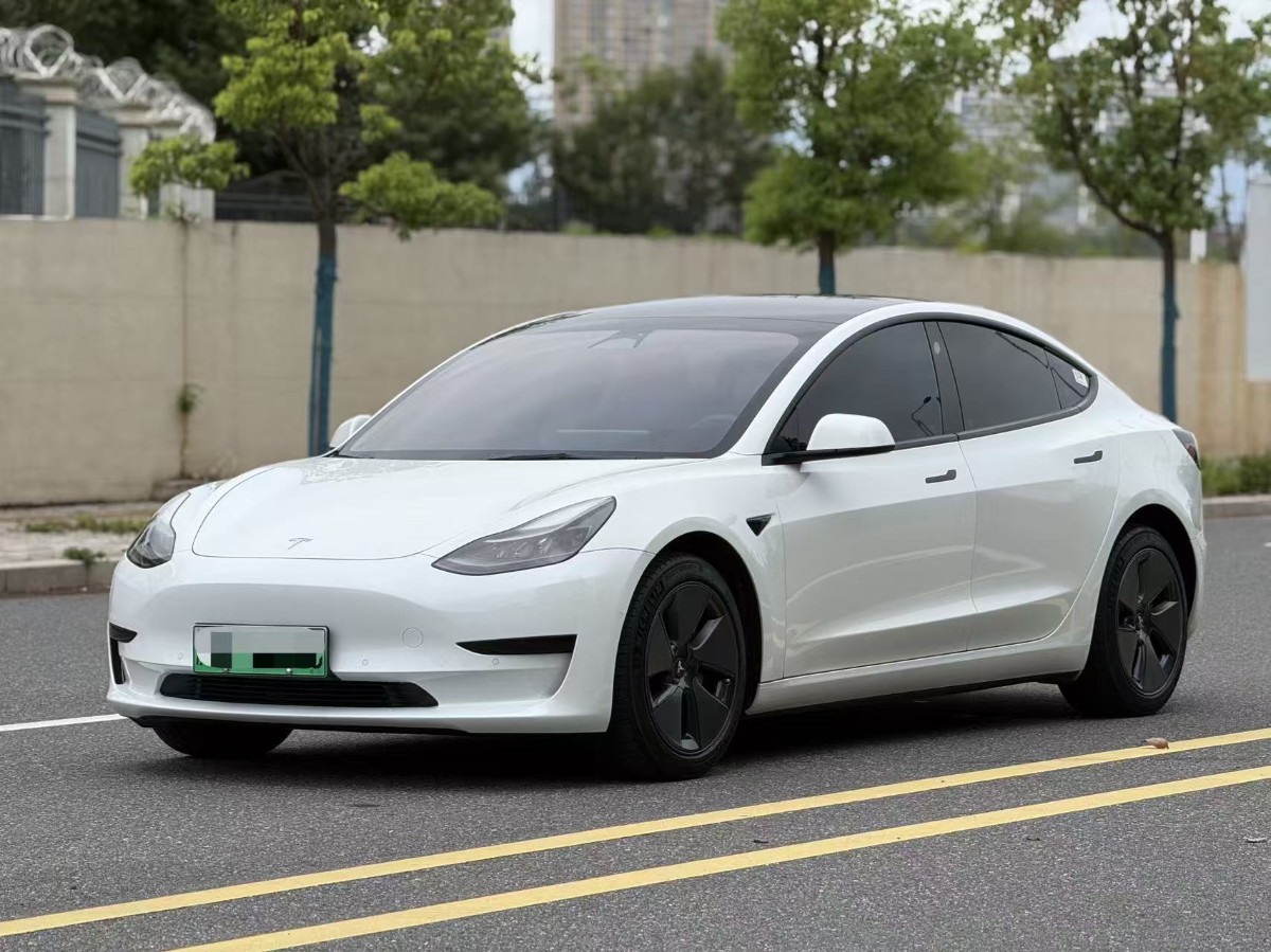 Tesla Model 3 2022 Tesla Model 3 2022 car image