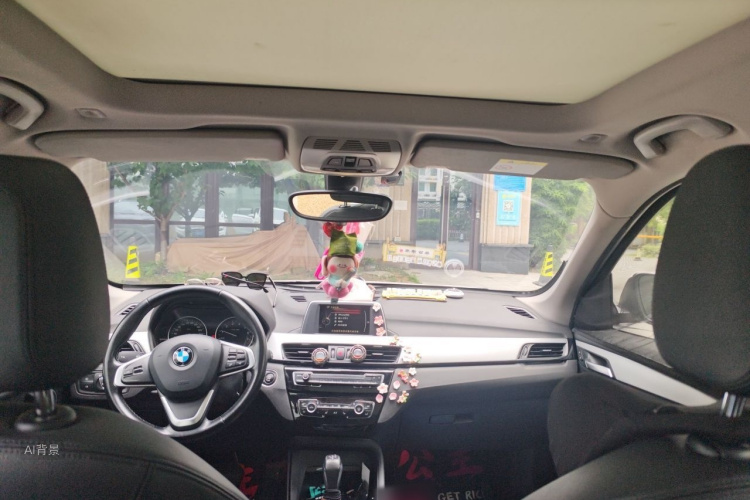 BMW X1 2017 car image #20