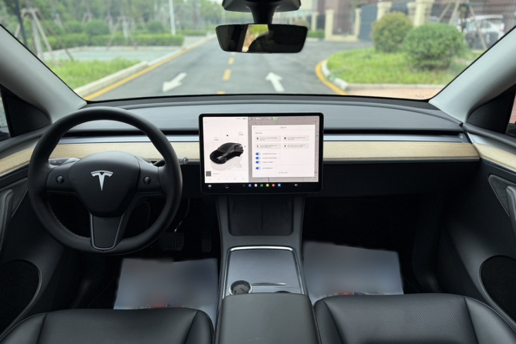 Tesla Model Y 2022 car image #13