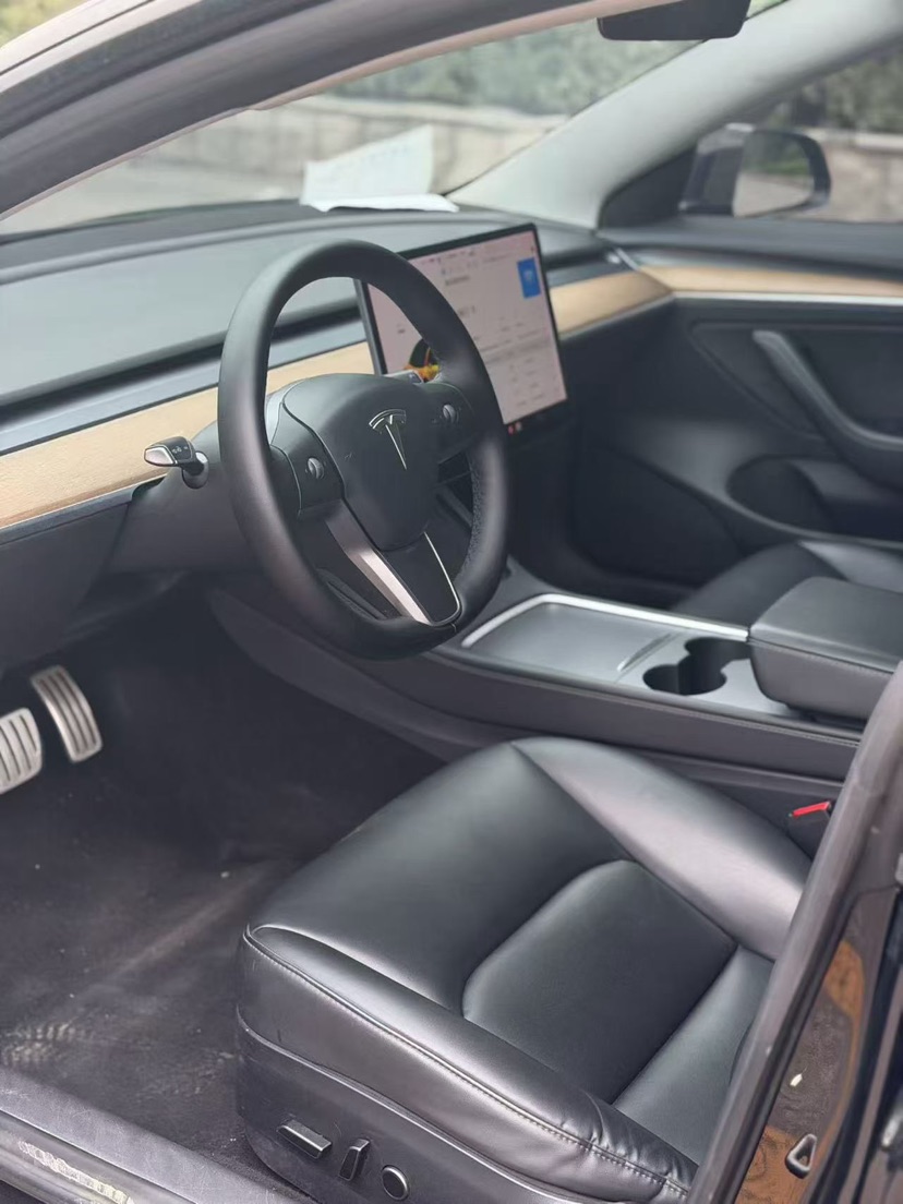 Tesla Model 3 2021 #3 Tesla Model 3 2021 car image #3