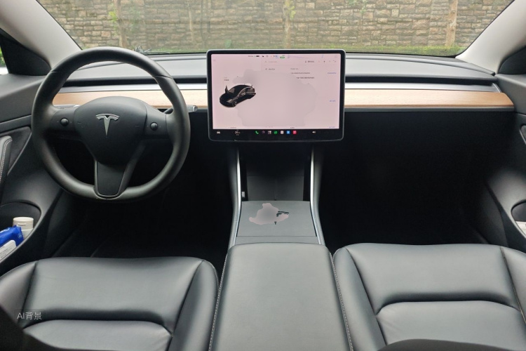 Tesla Model 3 2020 car image #11