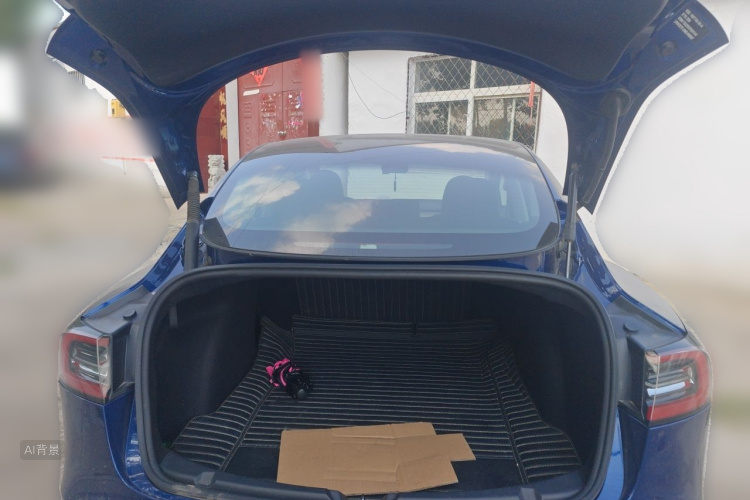 Tesla Model 3 2021 #21 Tesla Model 3 2021 car image #21
