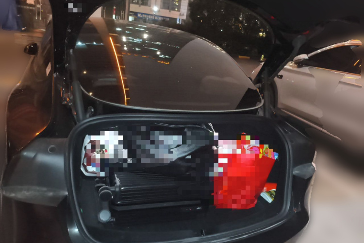 Tesla Model 3 2023 car image #21