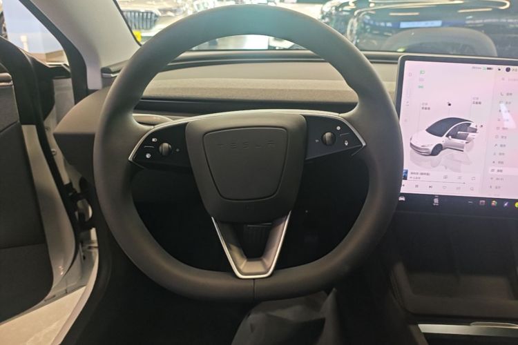 Tesla Model 3 2025 car image #11