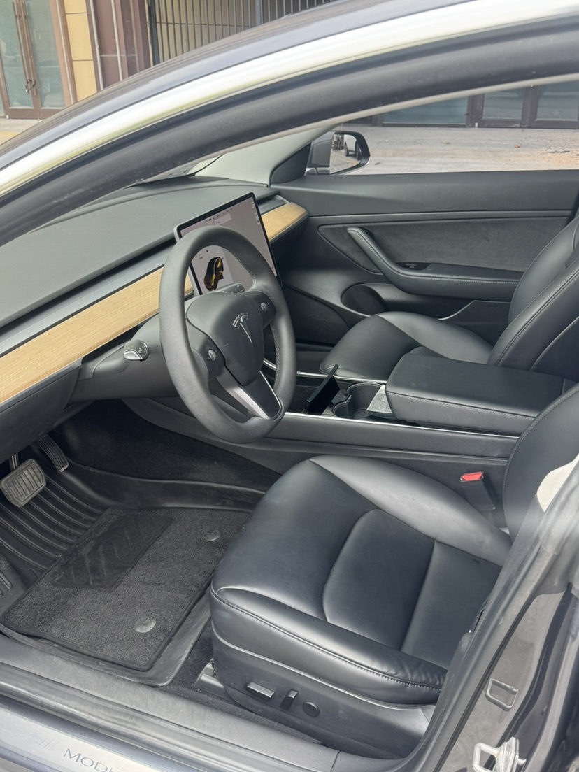 Tesla Model 3 2020 car image #4
