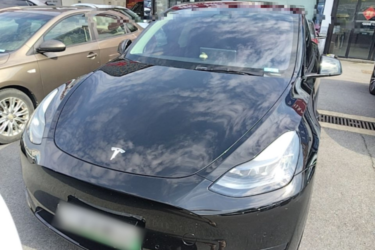 Tesla Model Y 2022 immagine di auto #3