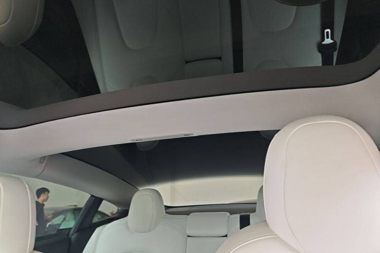 Tesla Model 3 2021 car image #18