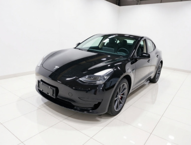 Tesla Model 3 2021 car image 