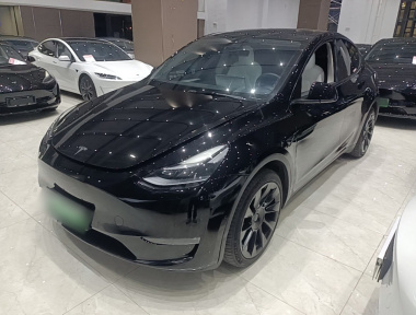 Tesla Model Y 2022 Tesla Model Y 2022 car image
