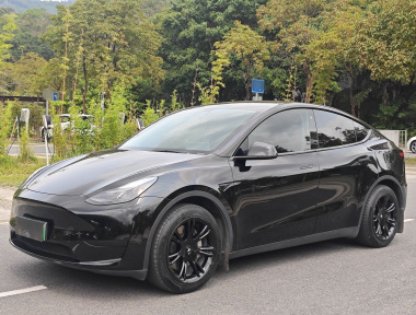 Tesla Model Y 2023 car image 