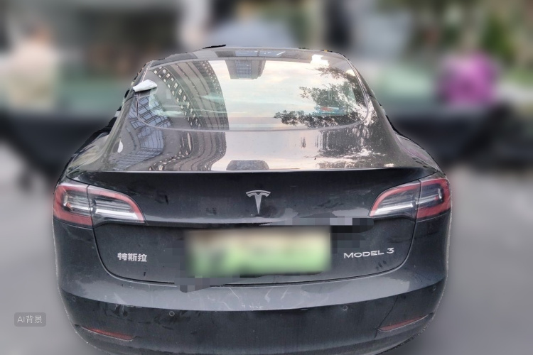 Tesla Model 3 2021 car image #6