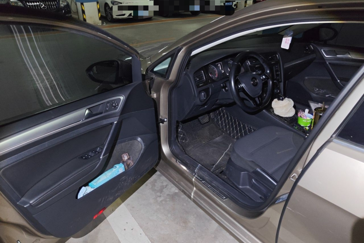 Volkswagen Golf 2018 car image #9