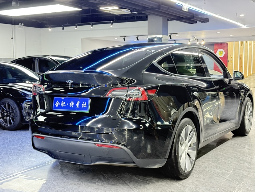 Tesla Model Y 2021 #9 Tesla Model Y 2021 car image #9