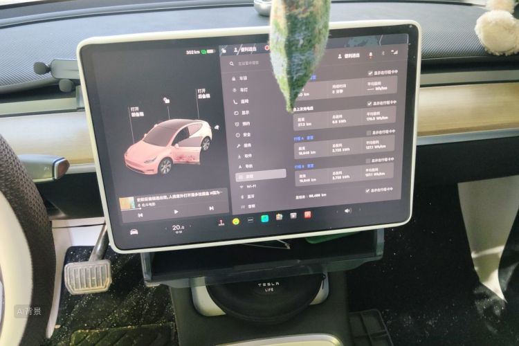 Tesla Model Y 2022 car image #15
