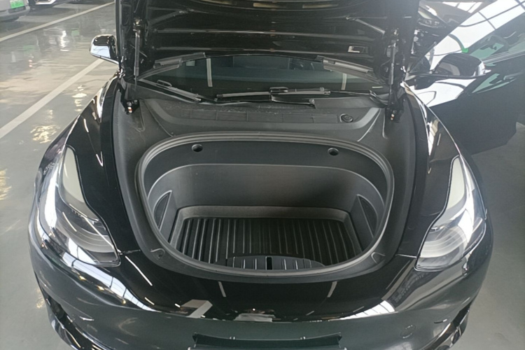 Tesla Model 3 2021 car image #20