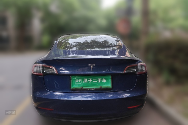 Tesla Model 3 2020 car image #6
