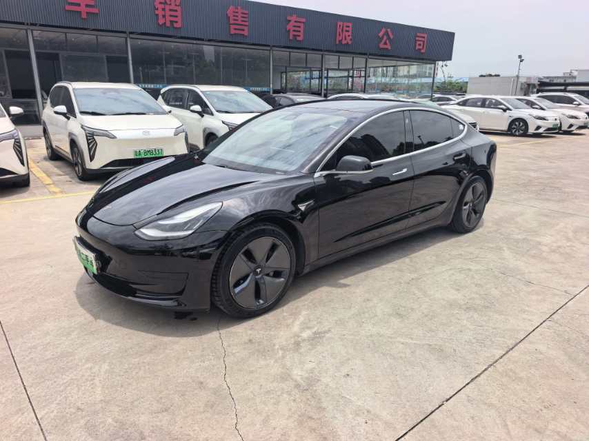 Tesla Model 3 2021 Tesla Model 3 2021 صورة سيارة
