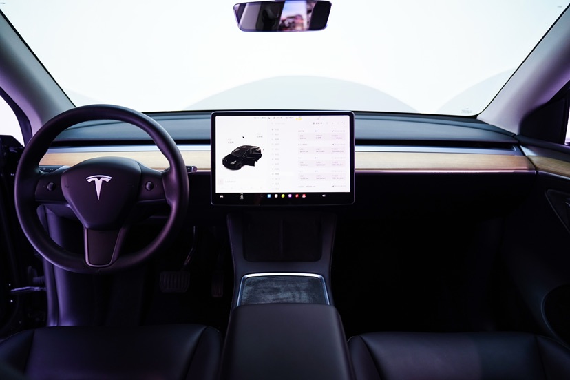 Tesla Model Y 2021 #6 Tesla Model Y 2021 car image #6